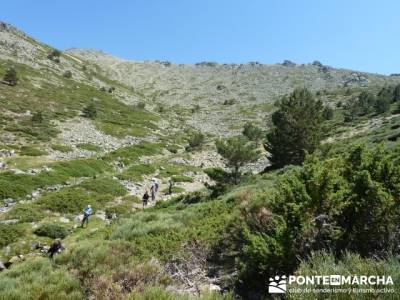 Cuerda Larga - Circo de las Cerradillas - Parque Regional Cuenca Alta del Manzanares - Valle Lozoya